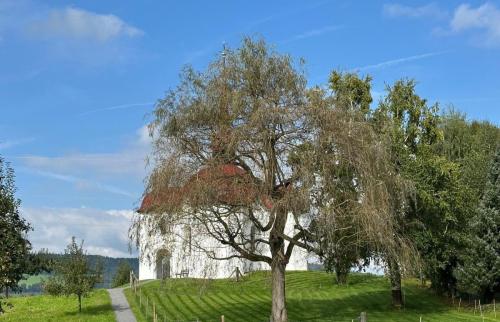 0387B8E7-510E-4CDE-93CE-2D30BED1C954