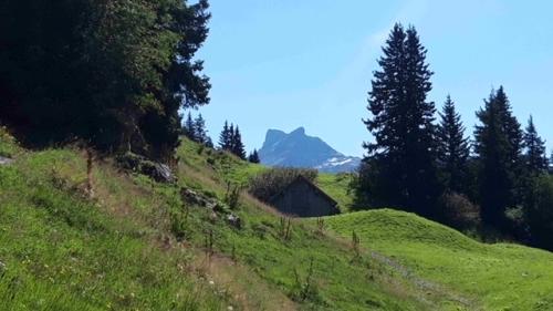 0FFB8CD1-07E0-470B-83EA-558051B3D485_4_5005_c