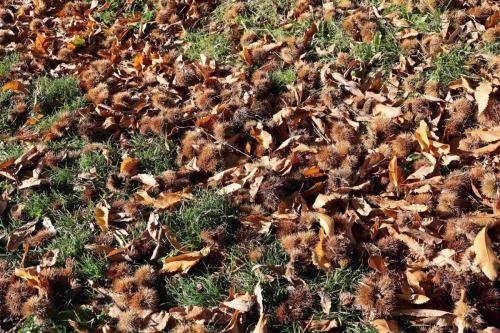 29FB491C-3FCD-4EC1-AEDD-22EB6757DFD9