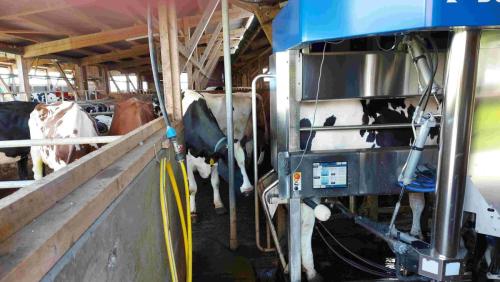 2E4D0474-C5E0-4B45-A599-50ABAB9BF6D8