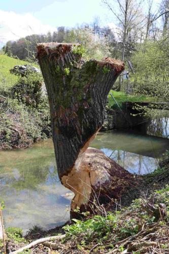 314C3B02-BF13-4DCB-AAFC-D483A1C7F88D