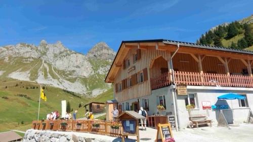 380E64A8-B124-4695-9DF7-CB9A3E9BCC7C_4_5005_c