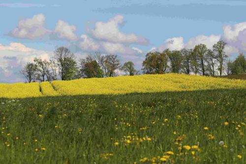 3A90CAAC-8A74-492E-8BD3-6F2D139CF4B9