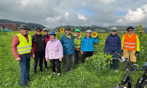 3C556A0D-9536-4B05-8000-735329900F32