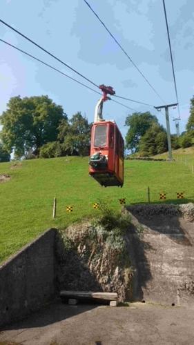 400B4F2D-057B-4BFE-A638-115CC48744DE_4_5005_c