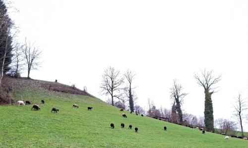 402F25EA-0258-4FD0-958C-147A6CCDBD98