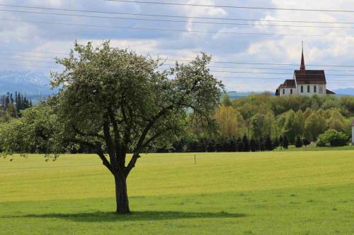 4A899131-C5CA-490F-80D5-D8BF229D4423