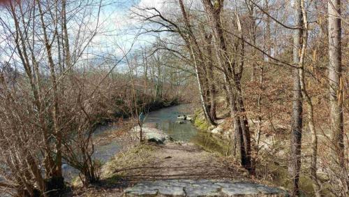 560F19EF-80E1-4BE1-AFFD-C82DAEED0A08