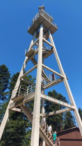 5a0a5479-de25-452d-9185-3a8c1283315d