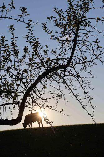 61A02764-D5F3-437E-BDBE-87055EA965B0