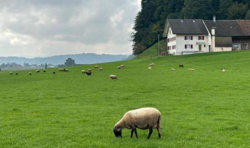 64B7F728-7328-488F-9F15-80E27C0A6989