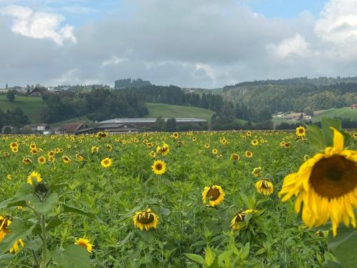 6F42DD41-3D48-49BF-9169-5586B188597A