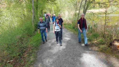 6FC39196-F254-4C2E-AD3C-44BB8C2EA2BE