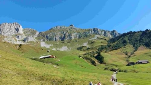 7763946A-A147-4307-A41B-7F1007A62032_4_5005_c