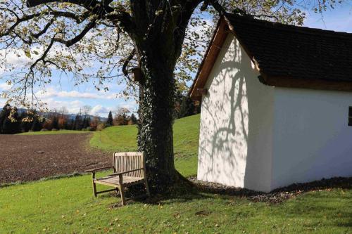 7D3B2262-FF1F-47BC-AEFD-4DB03DE7A0E8