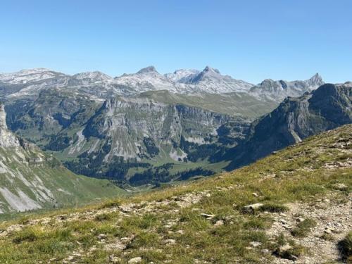 8B17D666-3E35-4B2F-A80E-B53DB00AB4DA