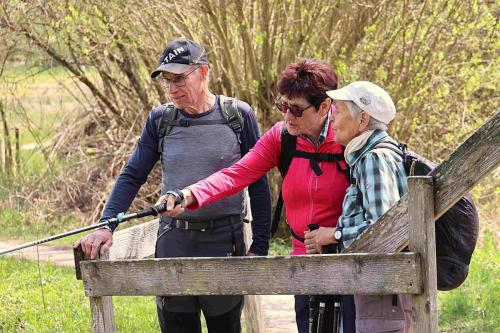 905A8CAC-A25A-4319-BB8A-A1C8201BB263