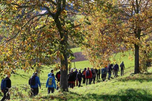 93C3EEAF-1994-4A4E-A08A-591B33B73BA4