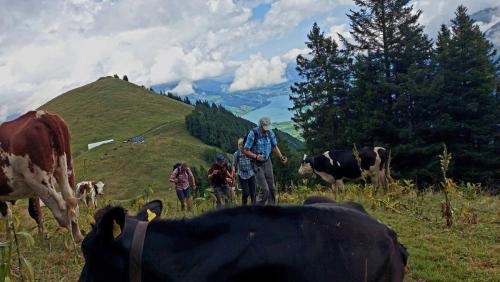 976C9886-39E3-4565-AF71-A069385B344E