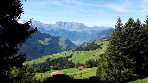 99A06EC8-D359-4336-920A-23190FD01387_4_5005_c