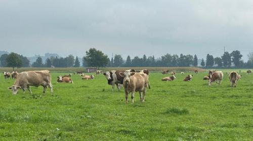 9B92CC57-625B-4134-962C-4050F4060912