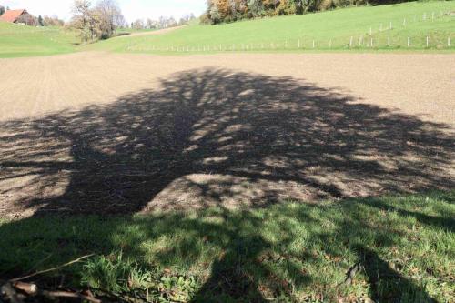 9C0C0F36-7E62-4382-91DD-D0993F7BA40E