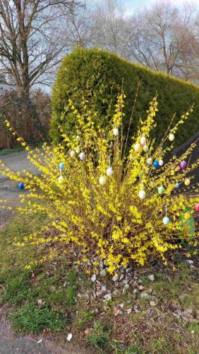 9E8578CC-2D3A-46BA-BA0A-31D750AA8735