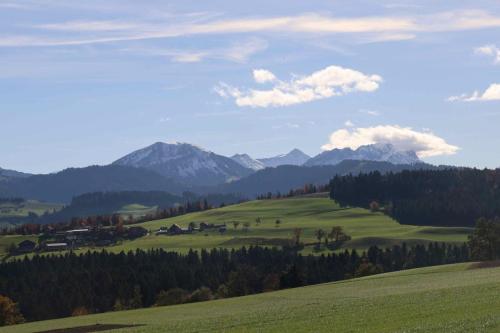 B22C99E4-DADE-475A-8821-3290F51B296D