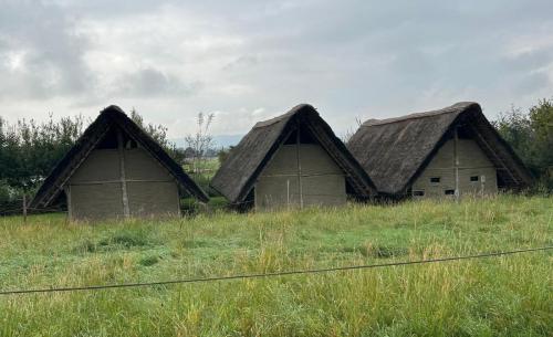 B67C19EA-2B36-49F7-B24A-35801D8E896D