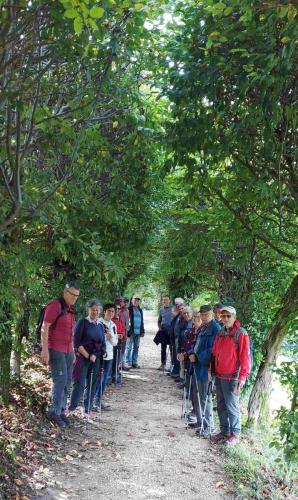 BFBB7024-1553-4F39-9527-539DFDE0277F