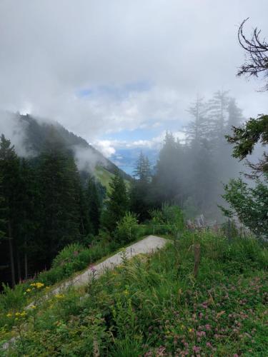 C581290D-7445-4A0C-8E0C-5226884ECCA2