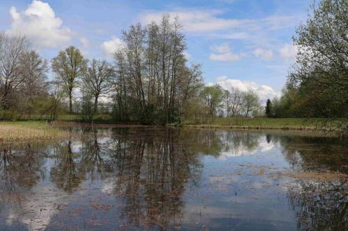 C86B7AD6-340D-4C62-AA22-45266D8B7078