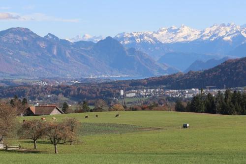 D1438139-CA77-4495-950D-E09F124A820E