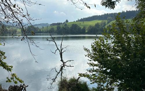 E4933060-C8E7-40DD-A4A6-032B21BAE538