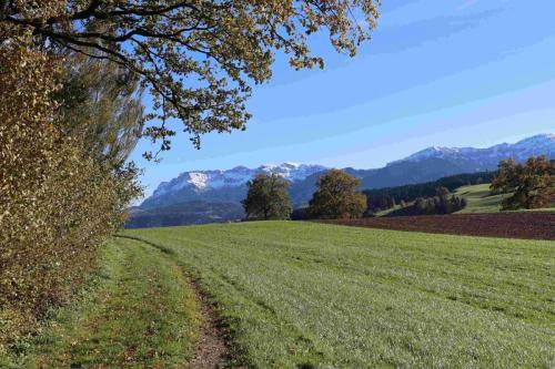 F188581C-4B58-4B33-884E-DDA7E66BFB41