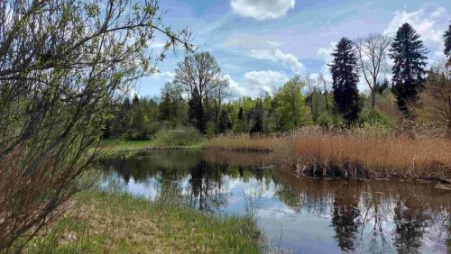 F8B8E33A-553B-4756-952F-4017B627EC0B