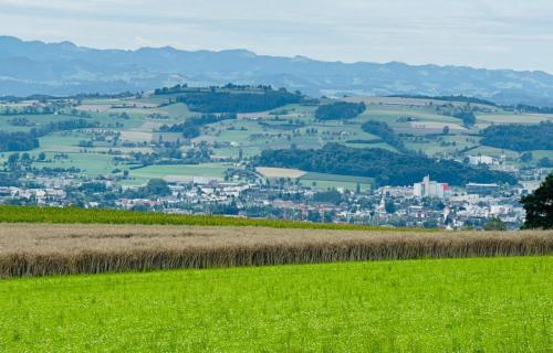 FFA7D605-0DC3-4D04-A5E1-3434E1F670B7