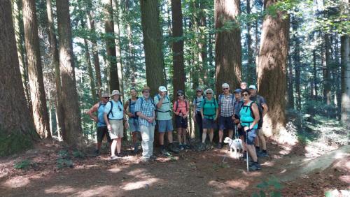 cc568206-cd96-4353-bd56-028b35f60cca