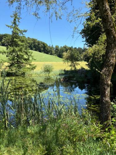 dba999d8-7992-465c-befd-294123fa4d3b